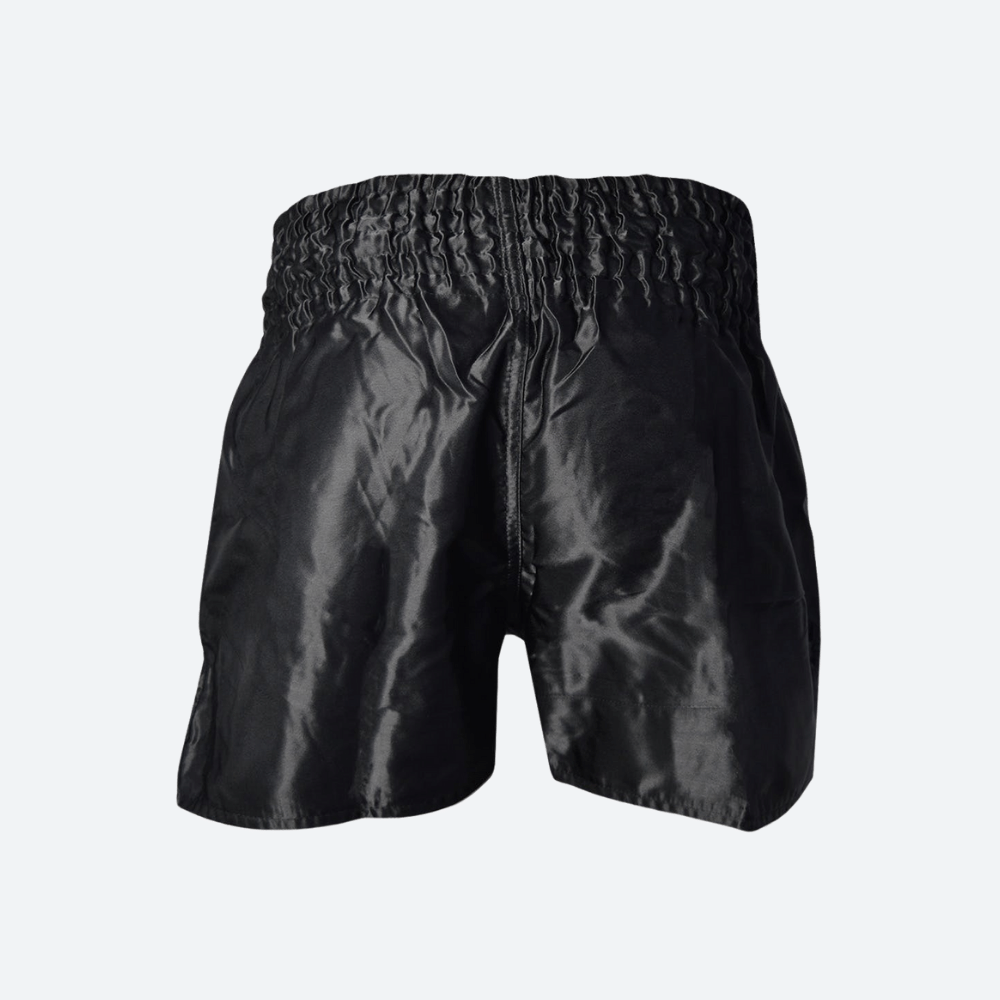 Muay Thai Shorts - Image 2